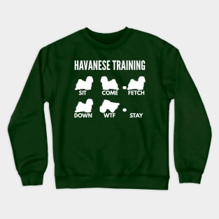 Havanese Training Havanese Dog Tricks Crewneck Sweatshirt